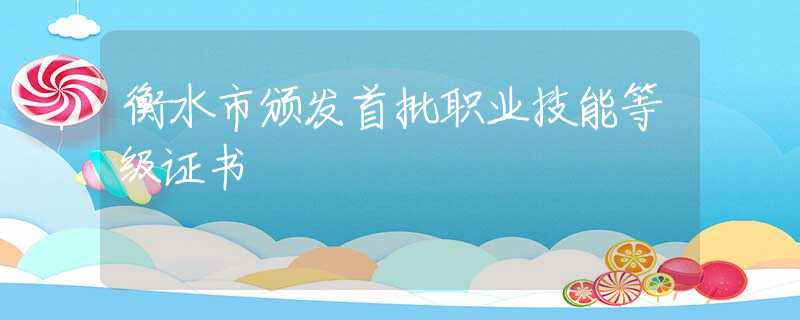 衡水市頒發(fā)首批職業(yè)技能等級(jí)證書(shū)
