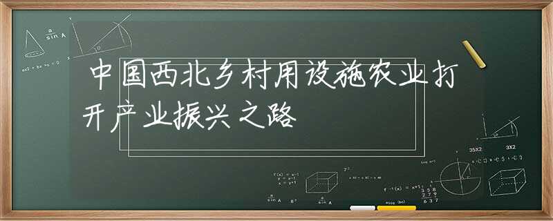 中國(guó)西北鄉(xiāng)村用設(shè)施農(nóng)業(yè)打開(kāi)產(chǎn)業(yè)振興之路