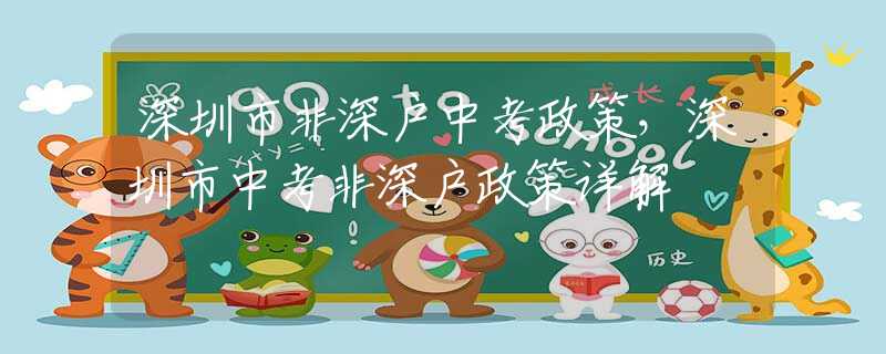 深圳市非深戶中考政策，深圳市中考非深戶政策詳解