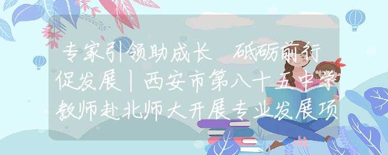 專家引領(lǐng)助成長(zhǎng) 砥礪前行促發(fā)展丨西安市第八十五中學(xué)教師赴北師大開展專業(yè)發(fā)展項(xiàng)目學(xué)習(xí)