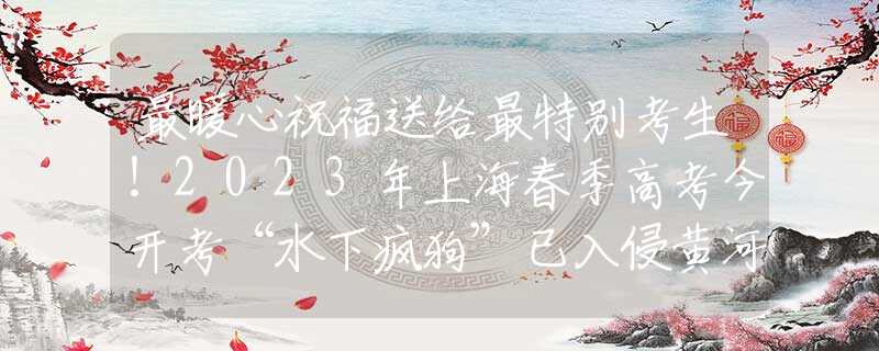 最暖心祝福送給最特別考生！2023年上海春季高考今開(kāi)考“水下瘋狗”已入侵黃河？性格暴戾帶獠牙，在野外也能活到70歲？