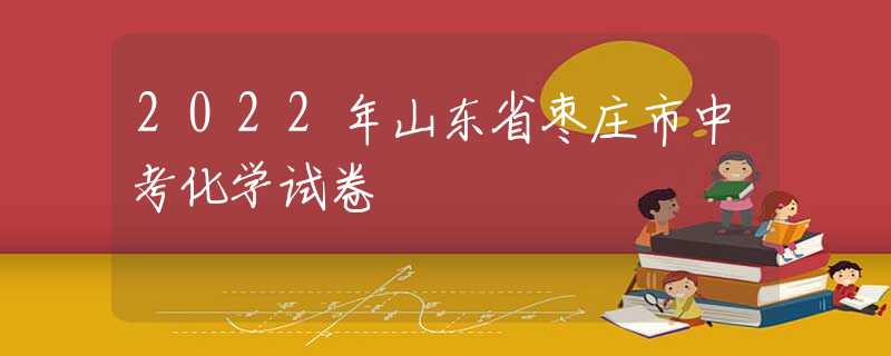 2022年山東省棗莊市中考化學(xué)試卷