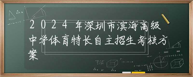 2024年深圳市濱海高級(jí)中學(xué)體育特長(zhǎng)自主招生考核方案
