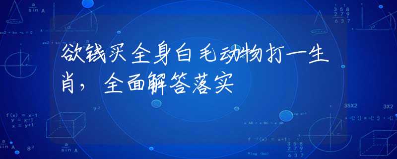 欲錢買全身白毛動物打一生肖，全面解答落實