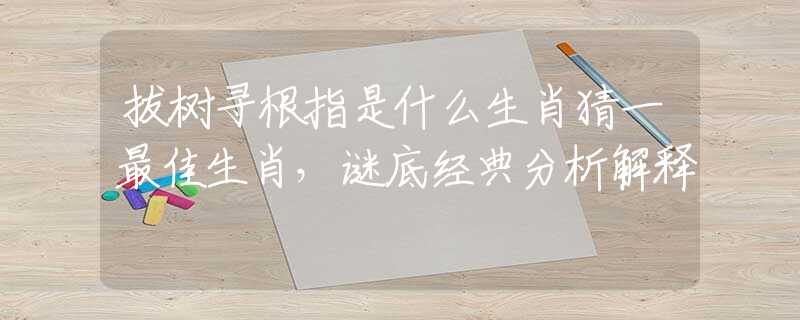 拔樹尋根指是什么生肖猜一最佳生肖，謎底經(jīng)典分析解釋