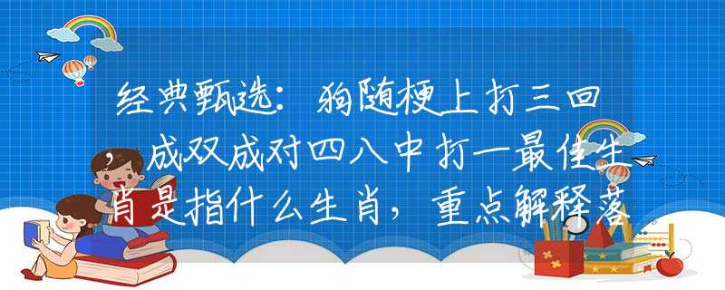 經(jīng)典甄選：狗隨梗上打三回，成雙成對(duì)四八中打一最佳生肖是指什么生肖，重點(diǎn)解釋落實(shí)
