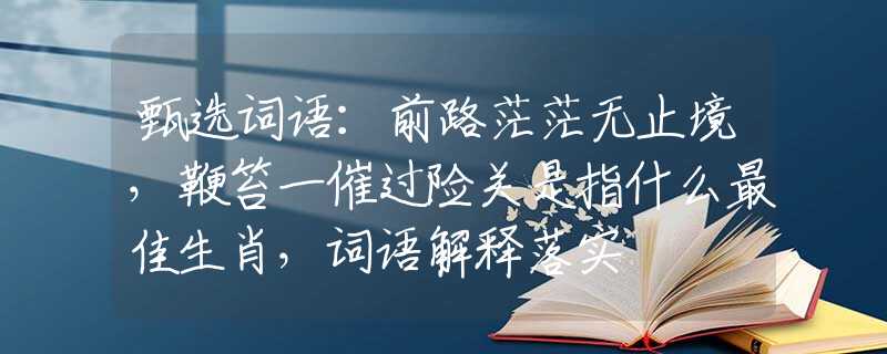 甄選詞語：前路茫茫無止境，鞭笞一催過險關是指什么最佳生肖，詞語解釋落實