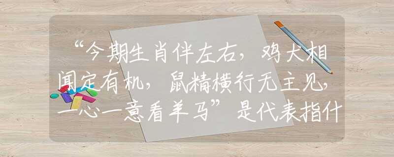 “今期生肖伴左右，雞犬相聞定有機，鼠精橫行無主見，一心一意看羊馬”是代表指什么生肖，打一最佳正確生肖詞語含義完美闡述釋義解釋落實
