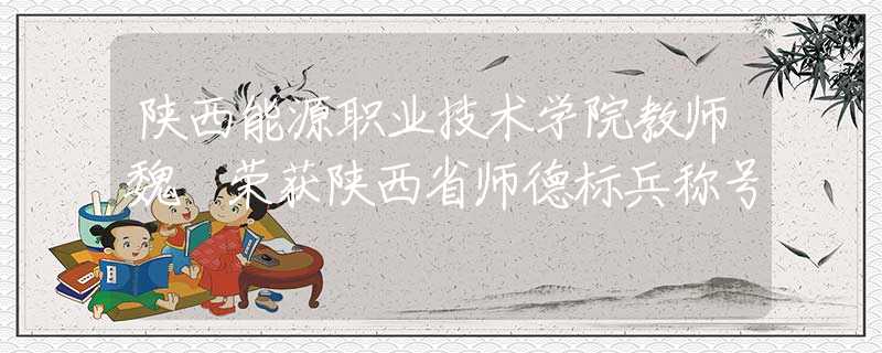 陜西能源職業(yè)技術學院教師魏頔榮獲陜西省師德標兵稱號
