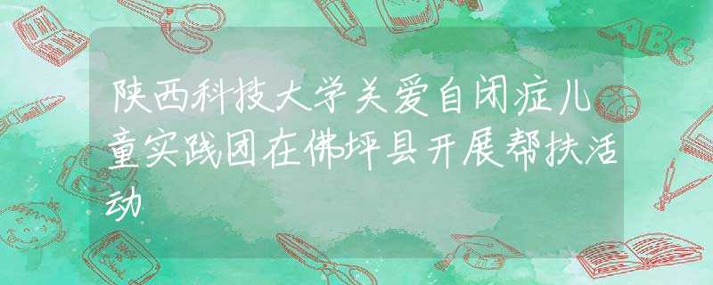 陜西科技大學關愛自閉癥兒童實踐團在佛坪縣開展幫扶活動