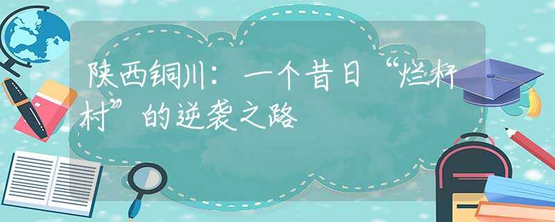 陜西銅川：一個昔日“爛桿村”的逆襲之路