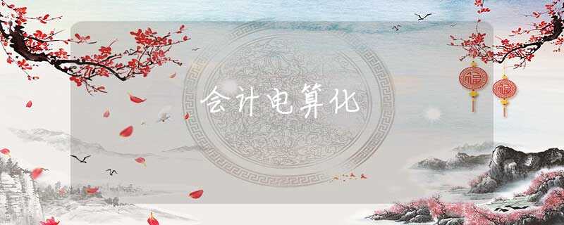會計電算化